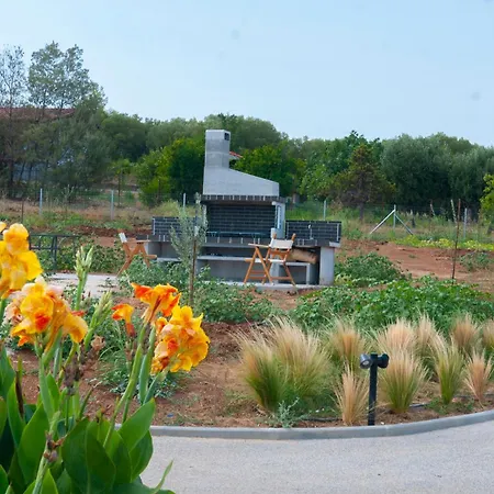 Aurora 4* Néa Fókaia