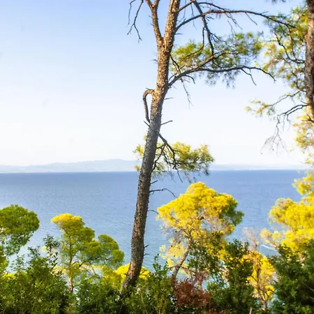 Aurora 아파트호텔 Néa Fókaia