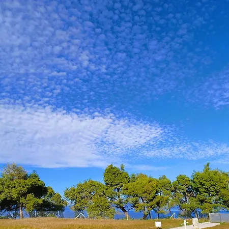 Aurora 아파트호텔 4*