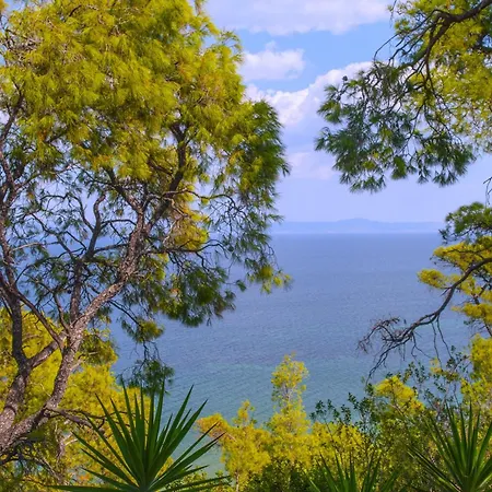 Aurora 4* Néa Fókaia